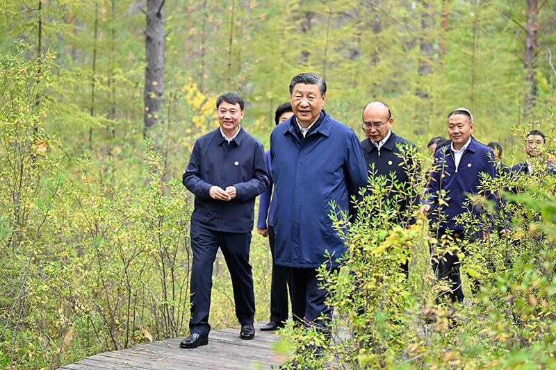 9月6日至8日，中共中央總書記、國家主席、中央軍委主席習近平在黑龍江考察。這是6日下午，習近平在大興安嶺地區(qū)漠河市漠河林場自然林區(qū)考察